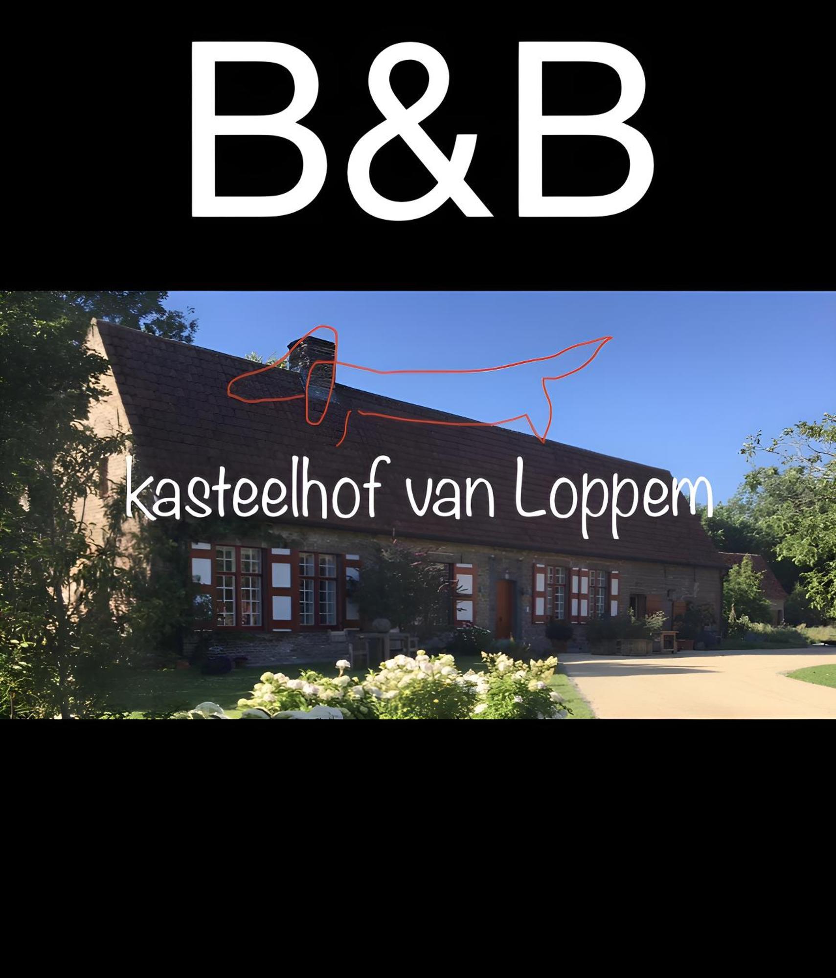 Kasteelhof Van Loppem Экстерьер фото